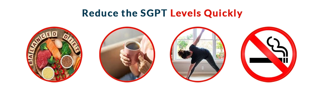 Reduce the SGPT Levels Quickly